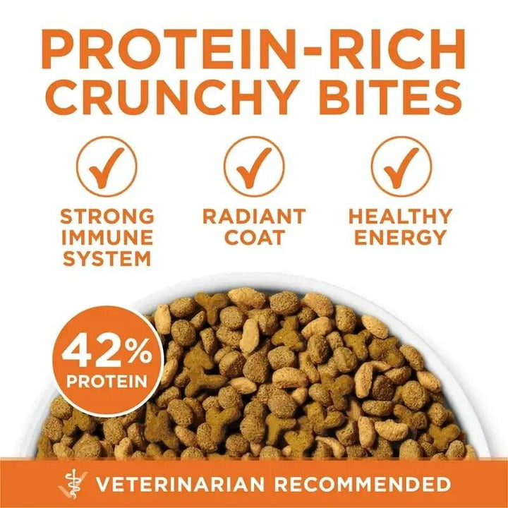 High Protein Turkey Cat Food 3.5lbs - themiraclebrands.com