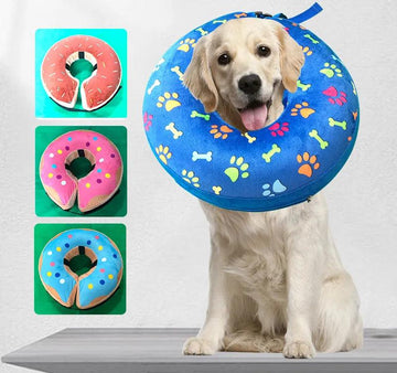 Inflatable Dog Collar - Anti-Bite, Injury, and Elizabethan Collar for Dogs and Cats - themiraclebrands.com