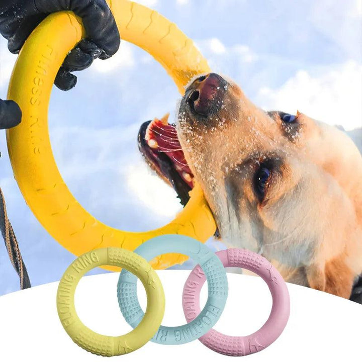 Interactive Dog Toy Flying Disk Training Play - themiraclebrands.com