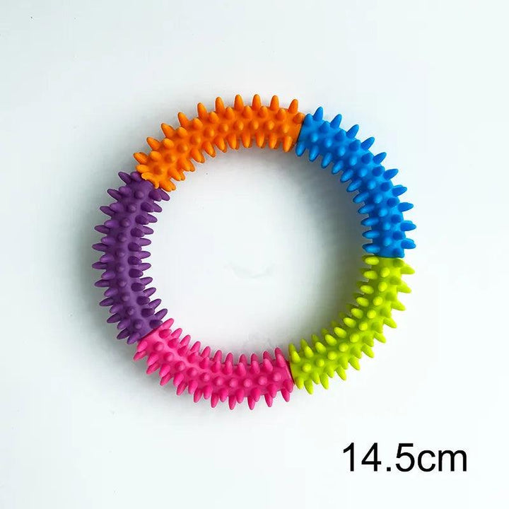 Interactive Dog Toy Flying Disk Training Play - themiraclebrands.com