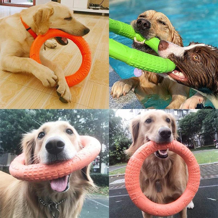 Interactive Dog Toy Flying Disk Training Play - themiraclebrands.com