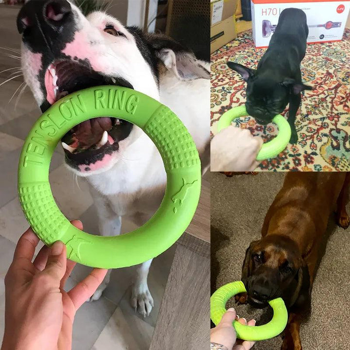 Interactive Dog Toy Flying Disk Training Play - themiraclebrands.com