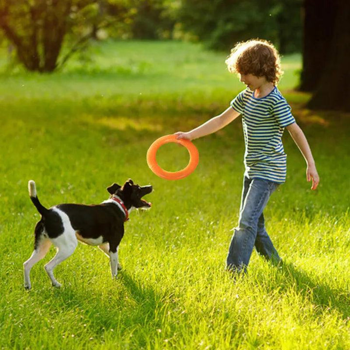 Interactive Dog Toy Flying Disk Training Play - themiraclebrands.com