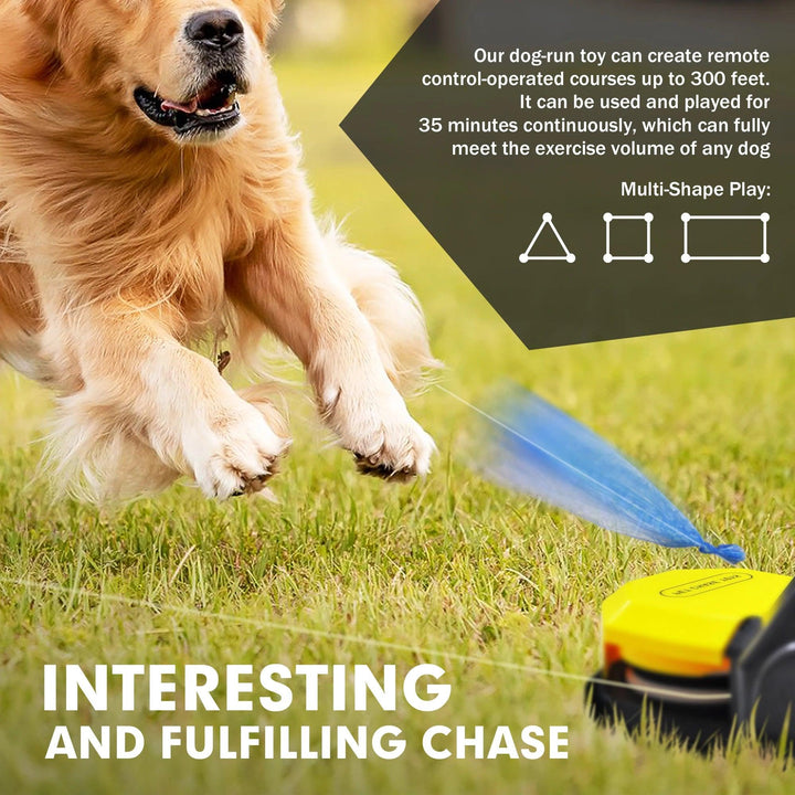 Interactive Dog Toys Remote Control Pet Chase Training - themiraclebrands.com