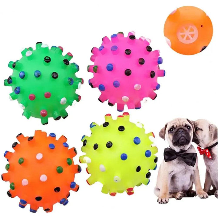 Interactive Durable Pet Training Ball Decompression Toy - themiraclebrands.com