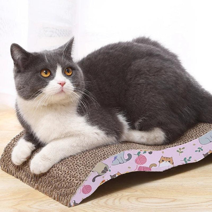 Interactive Kitten Cat Scratching Board - themiraclebrands.com