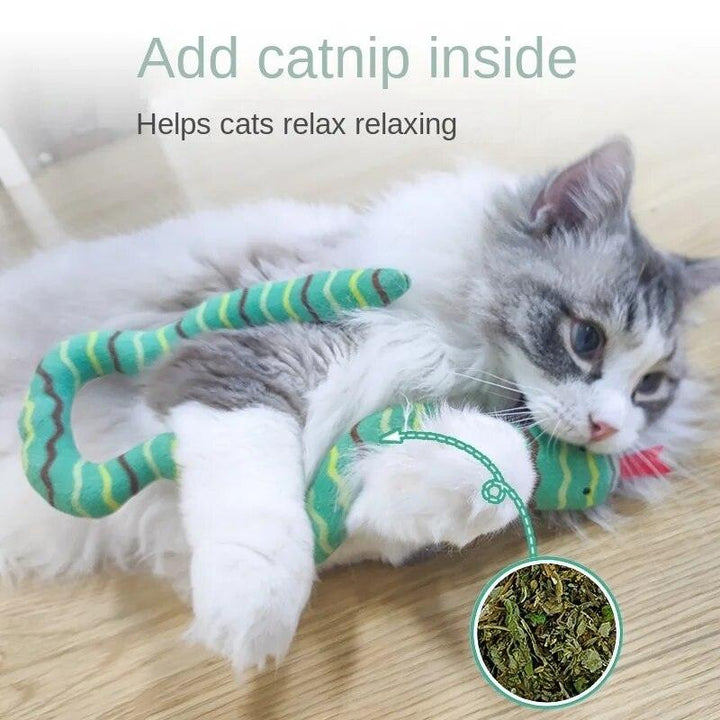 Interactive Snake Cat Teaser Toy - themiraclebrands.com