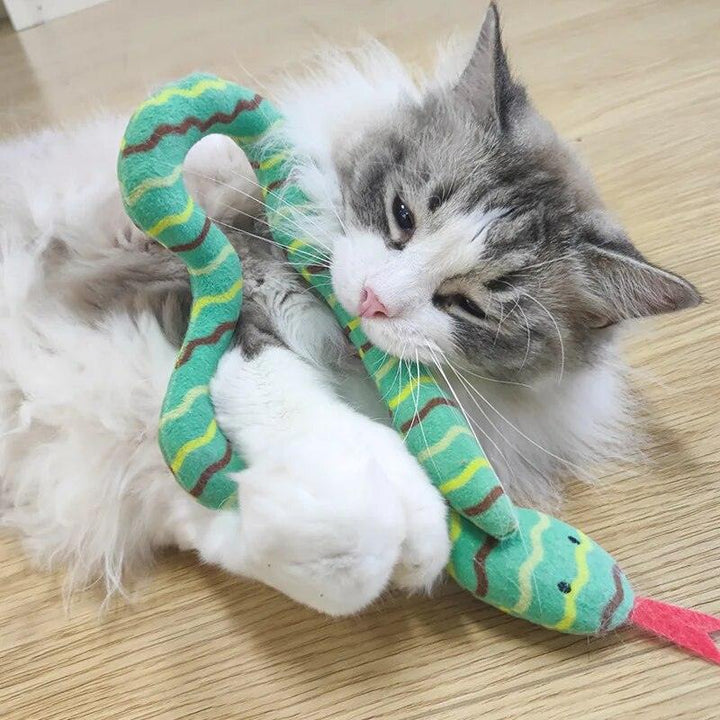 Interactive Snake Cat Teaser Toy - themiraclebrands.com