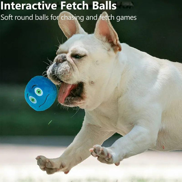 Interactive Squeaker Ball Fetch Chew Dog Toy - themiraclebrands.com