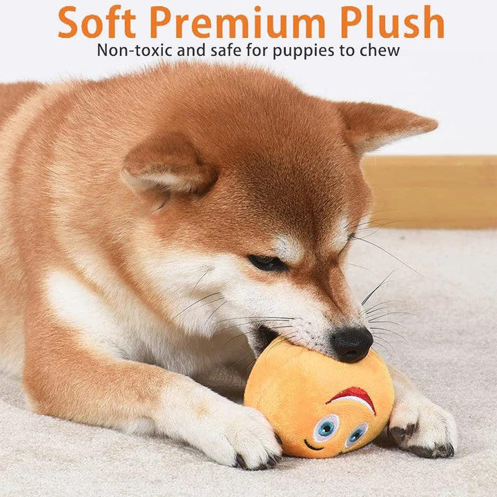 Interactive Squeaker Ball Fetch Chew Dog Toy - themiraclebrands.com