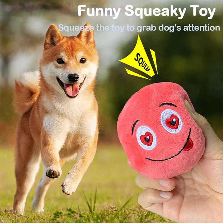 Interactive Squeaker Ball Fetch Chew Dog Toy - themiraclebrands.com