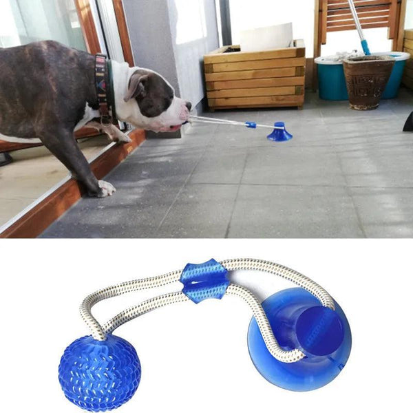 Interactive Suction Cup Dog Toy with TPR Ball - themiraclebrands.com