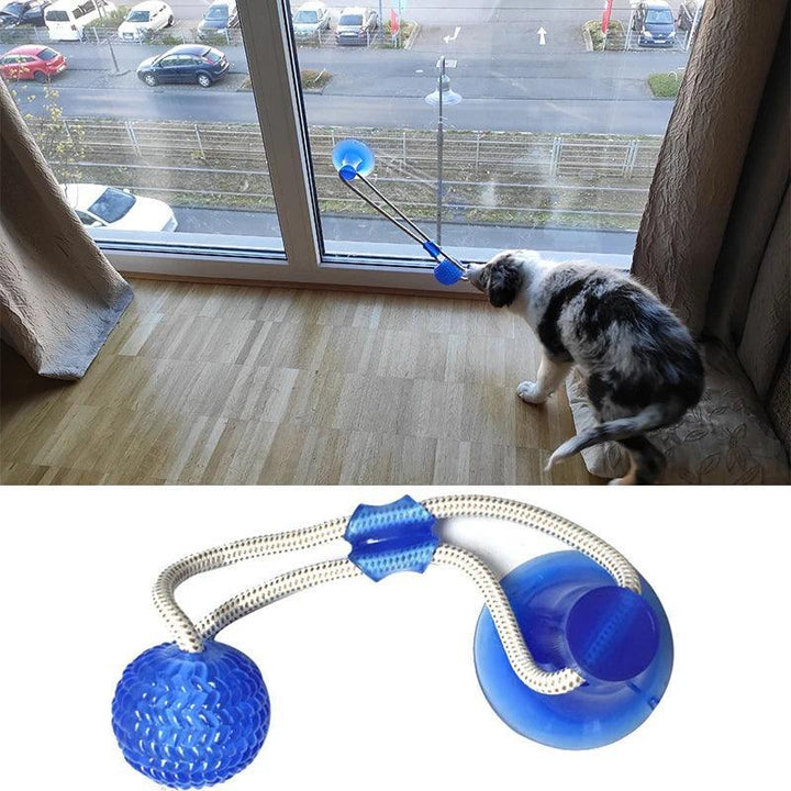 Interactive Suction Cup Dog Toy with TPR Ball - themiraclebrands.com