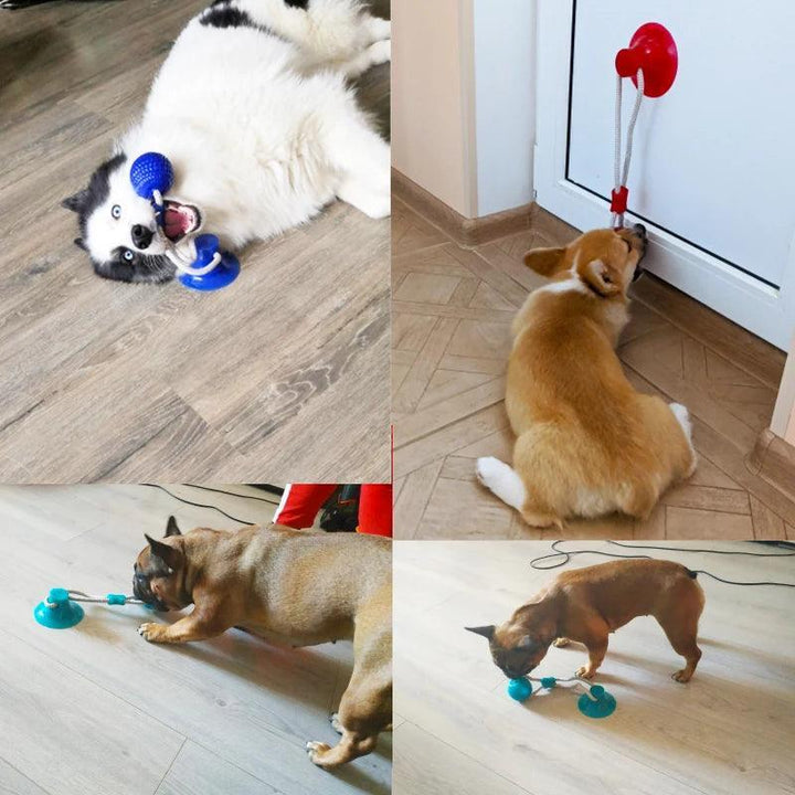 Interactive Suction Cup Dog Toy with TPR Ball - themiraclebrands.com