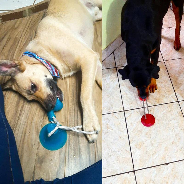 Interactive Suction Cup Dog Toy with TPR Ball - themiraclebrands.com