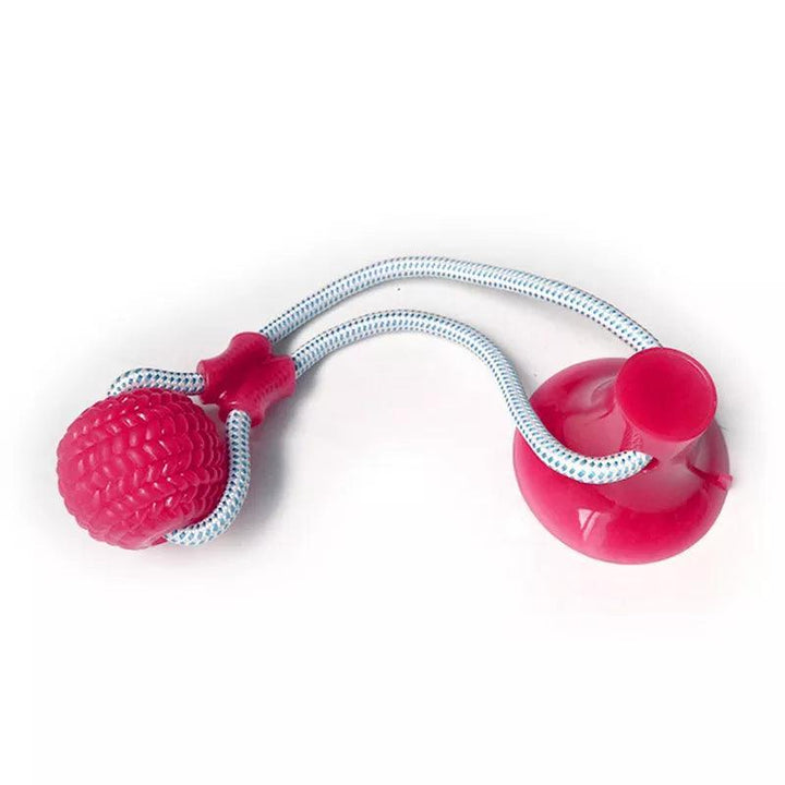 Interactive Suction Cup Dog Toy with TPR Ball - themiraclebrands.com