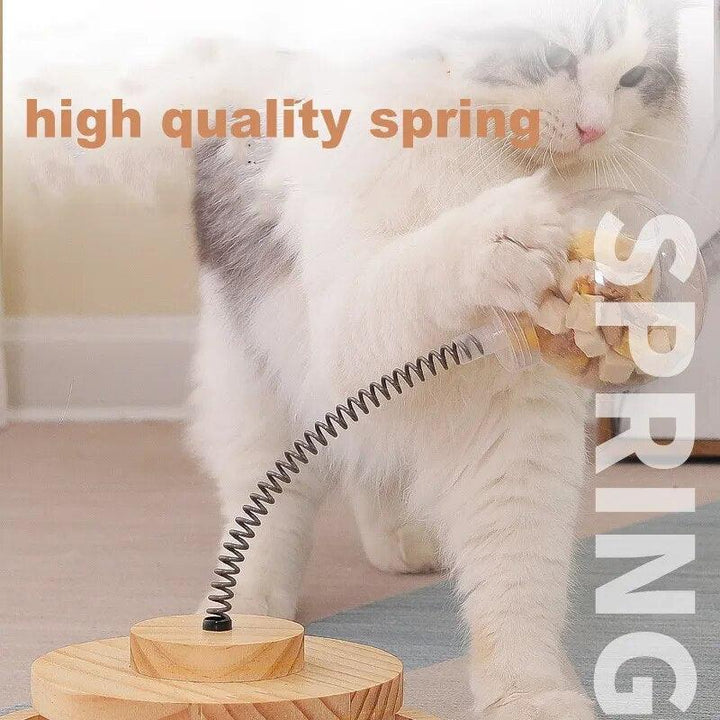 Interactive Tumbler Swing Toys for Cats - themiraclebrands.com