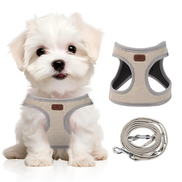 Xipdoger Reflective No-Pull Harness with Dual Leash