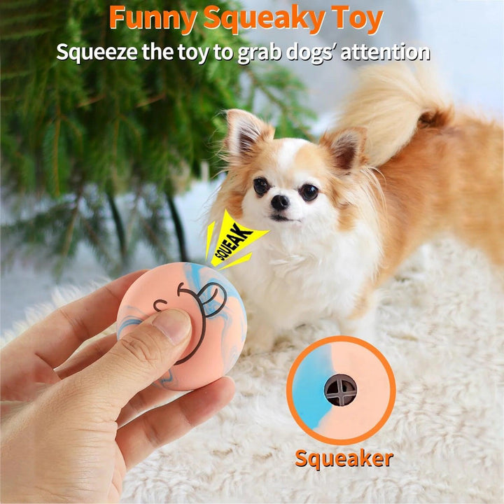 Latex Bouncy Squeaky Rubber Dog Toy (6pcs) - themiraclebrands.com