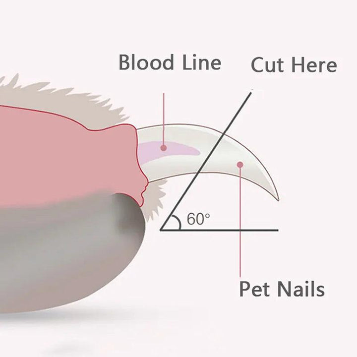 LED Pet Nail Clippers - Illuminate & Trim - themiraclebrands.com