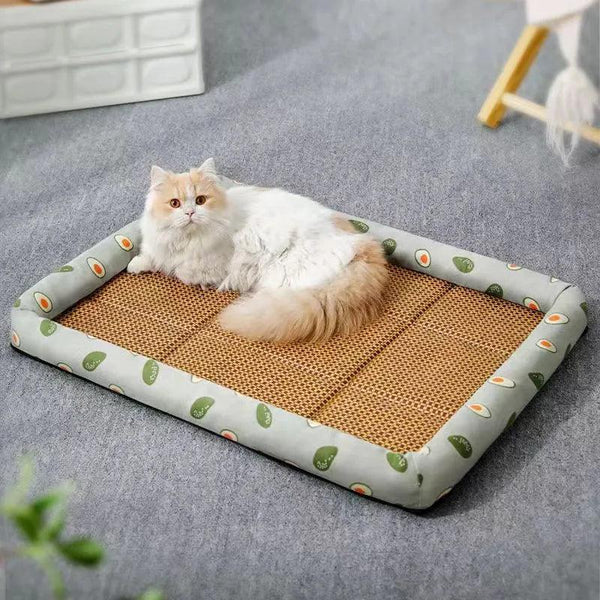 Lightweight Rattan Cat Bed - themiraclebrands.com