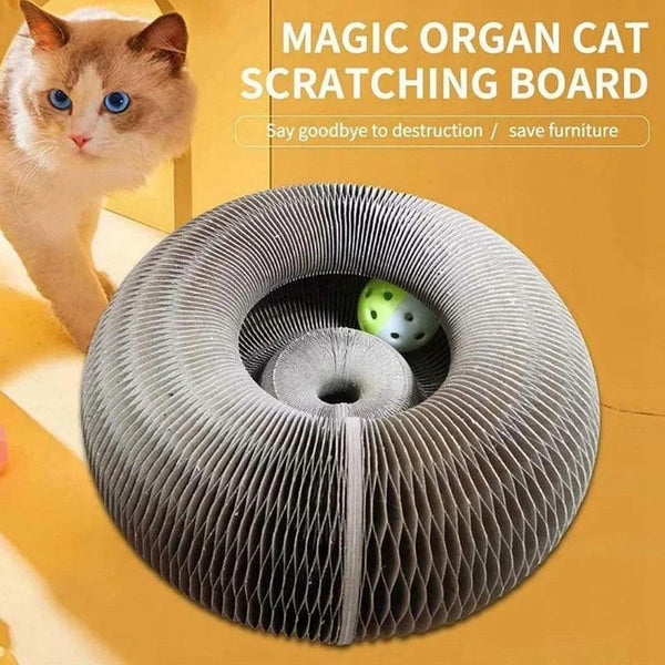 Magic Organ Cat Scratching Board with Bell - themiraclebrands.com