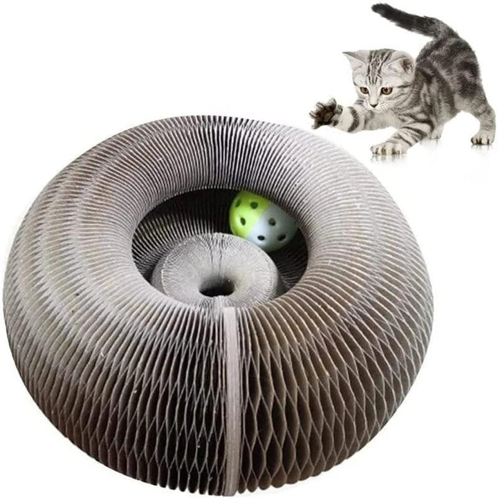 Magic Organ Cat Scratching Board with Bell - themiraclebrands.com