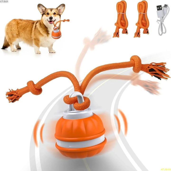 Motion-Activated Interactive Dog Ball Toy - themiraclebrands.com