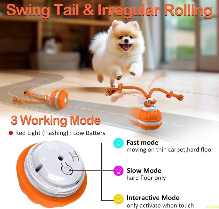 Motion-Activated Interactive Dog Ball Toy - themiraclebrands.com