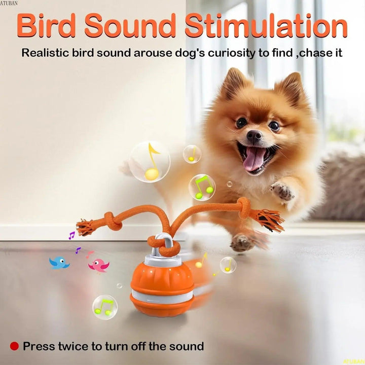 Motion-Activated Interactive Dog Ball Toy - themiraclebrands.com