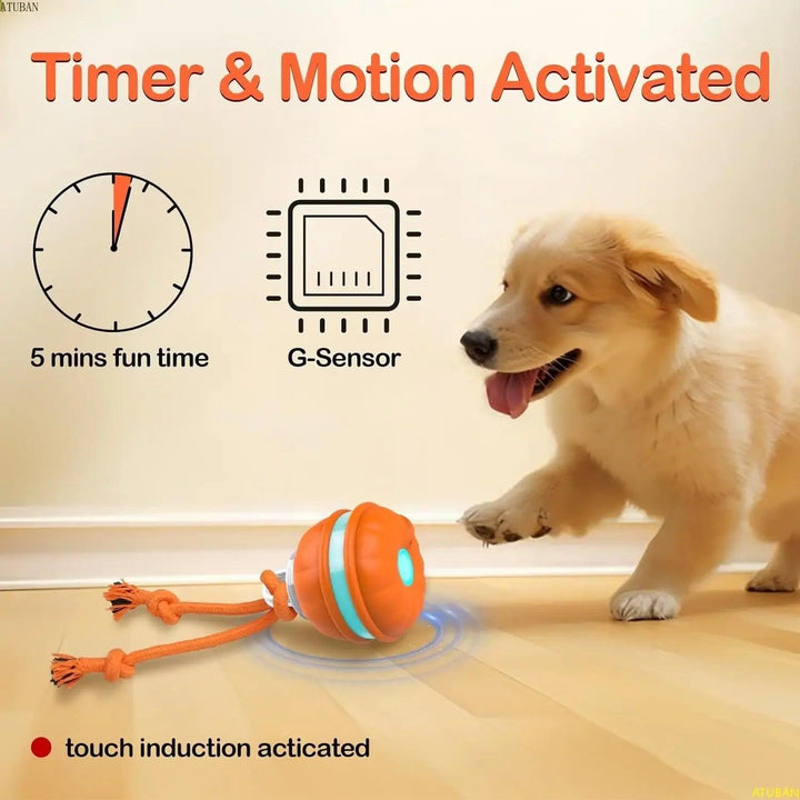 Motion-Activated Interactive Dog Ball Toy - themiraclebrands.com