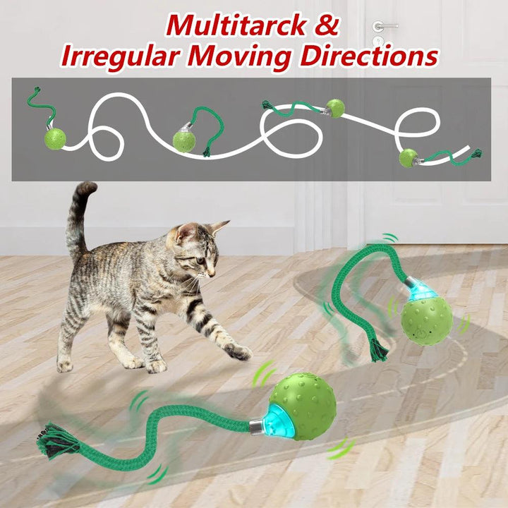 Motion-Activated Rolling Ball Dynamic Cat Toy - themiraclebrands.com