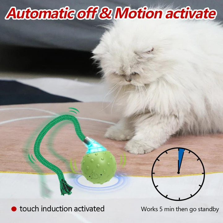 Motion-Activated Rolling Ball Dynamic Cat Toy - themiraclebrands.com