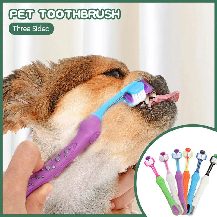 Multi-Angle Pet Toothbrush Cleaning Tool for Pets - themiraclebrands.com