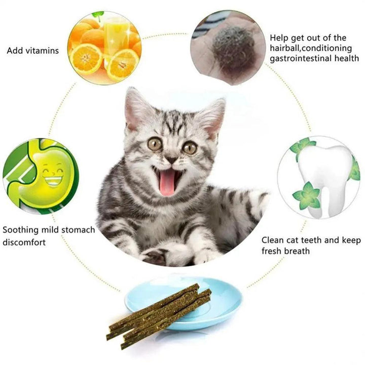 Natural Cat Mint Sticks Catnip Chews - themiraclebrands.com