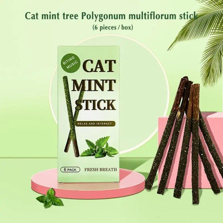 Natural Cat Mint Sticks Catnip Chews - themiraclebrands.com