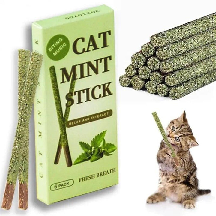 Natural Cat Mint Sticks Catnip Chews - themiraclebrands.com