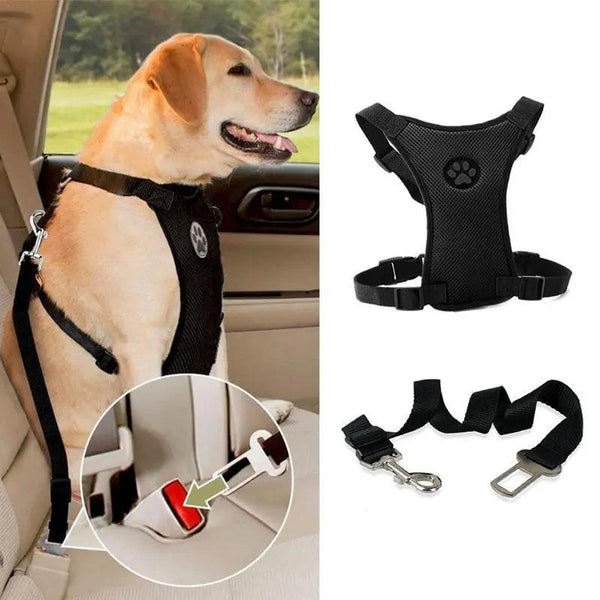 NEW Breathable Mesh Dog Harness Leash - themiraclebrands.com