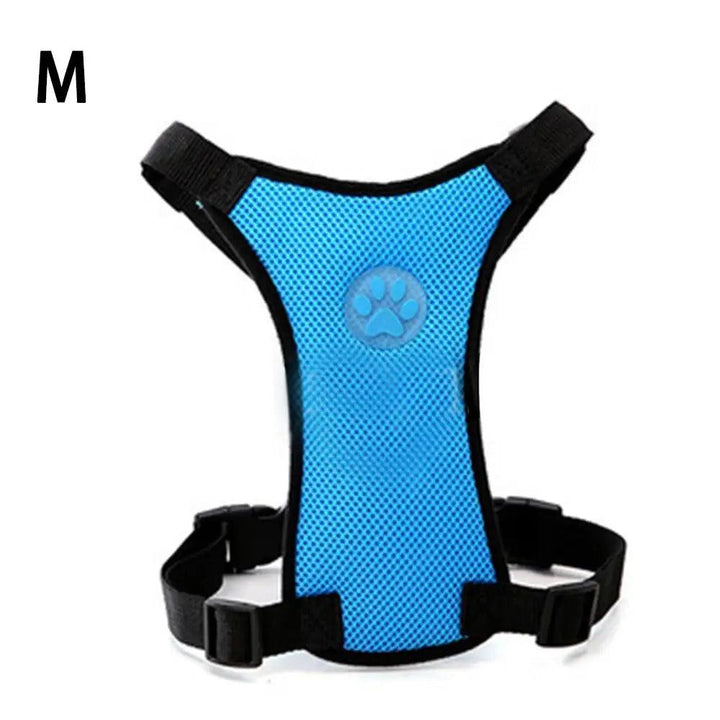 NEW Breathable Mesh Dog Harness Leash - themiraclebrands.com