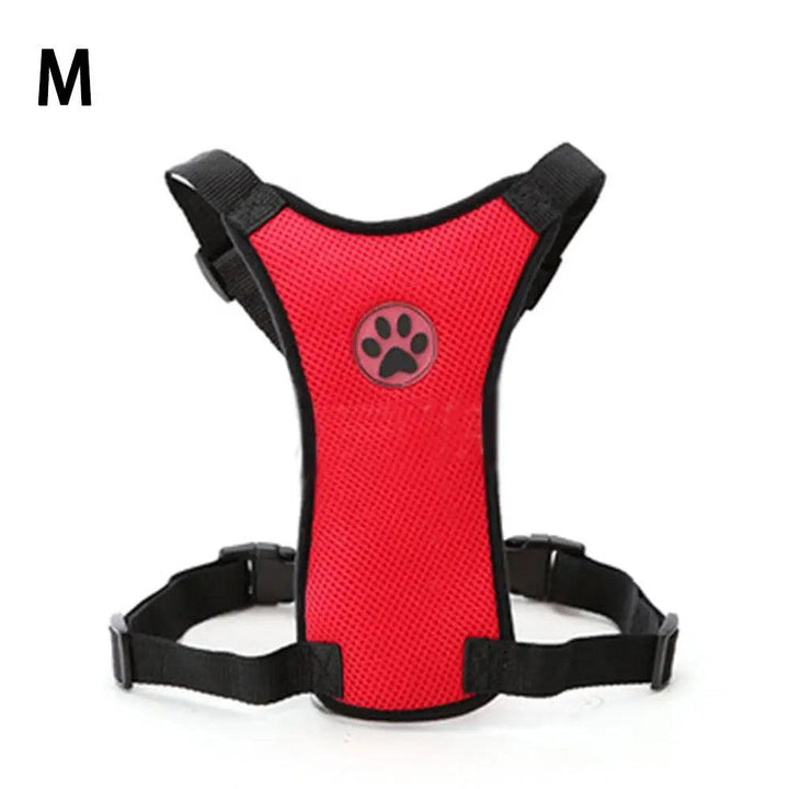 NEW Breathable Mesh Dog Harness Leash - themiraclebrands.com