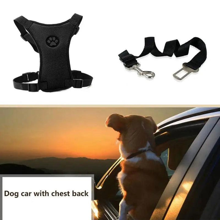 NEW Breathable Mesh Dog Harness Leash - themiraclebrands.com