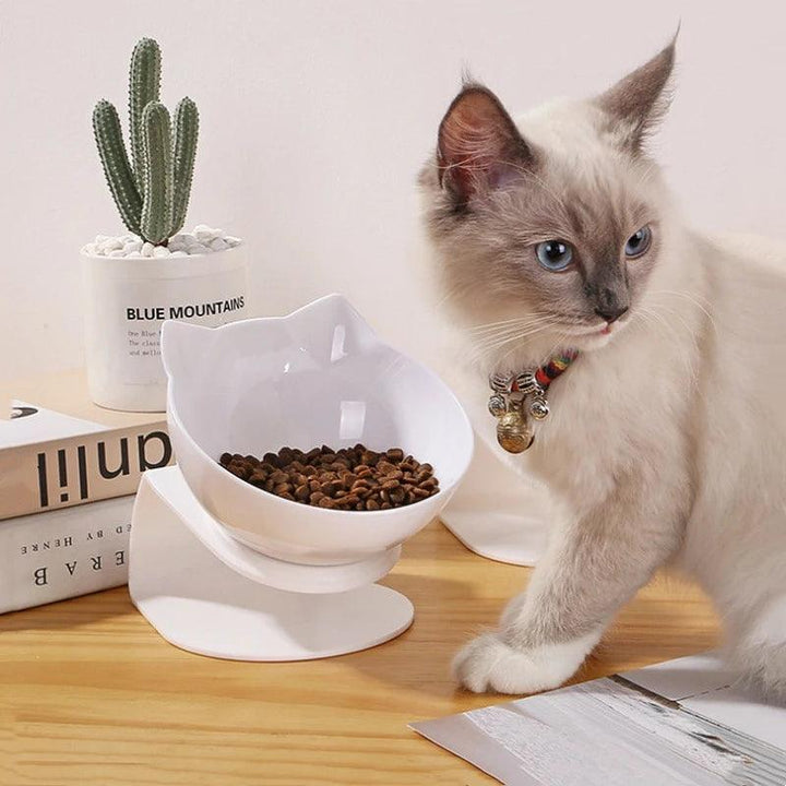 Non-Slip Pet Feeding Perfection Bowl with Stand - themiraclebrands.com