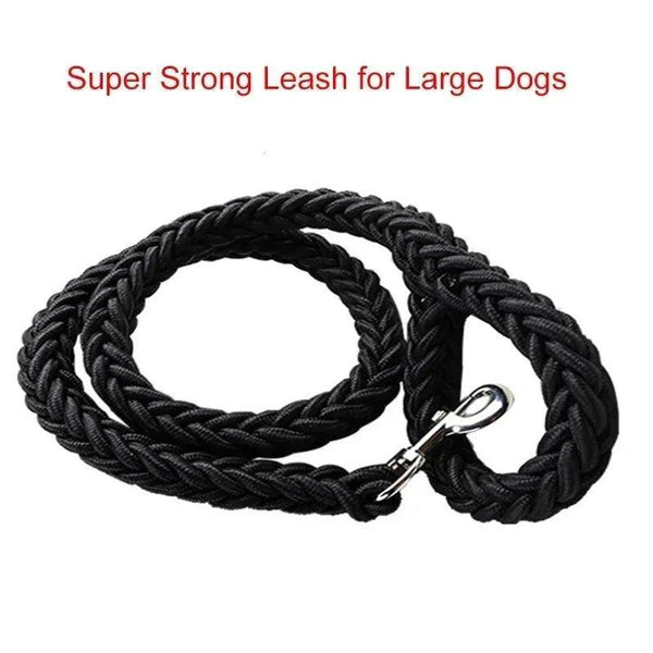 Nylon Dog Harness Leash - themiraclebrands.com