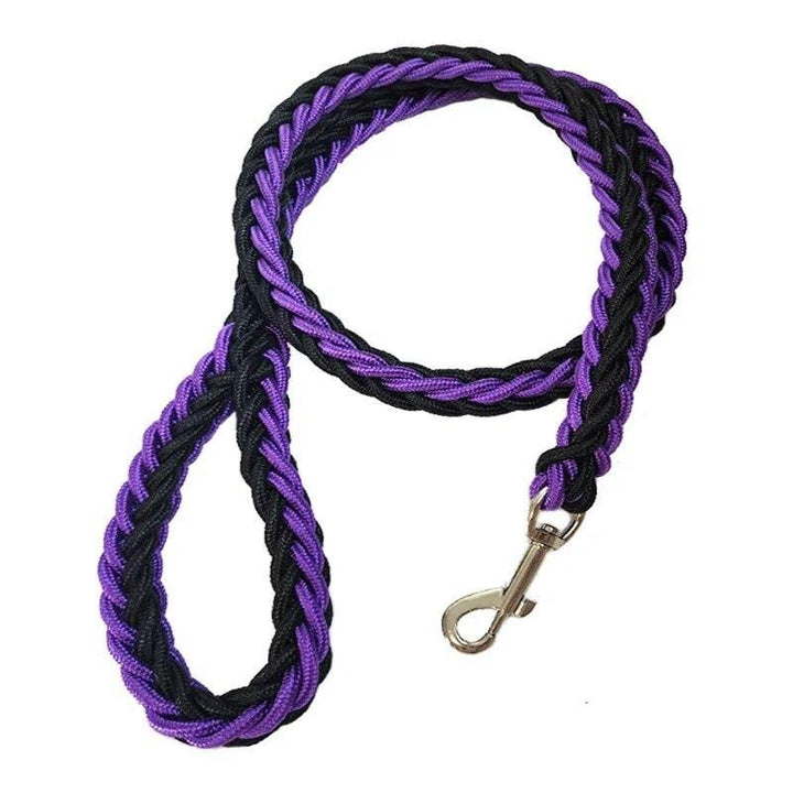 Nylon Dog Harness Leash - themiraclebrands.com