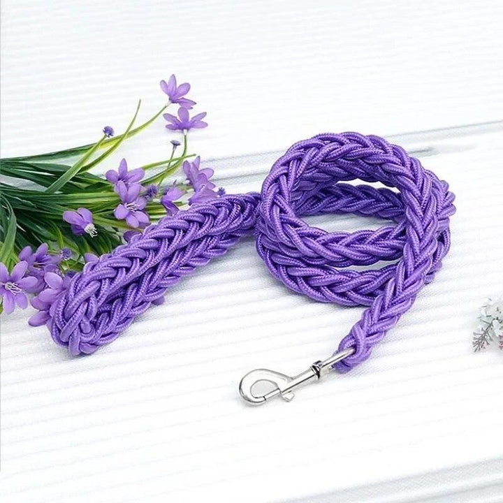 Nylon Dog Harness Leash - themiraclebrands.com