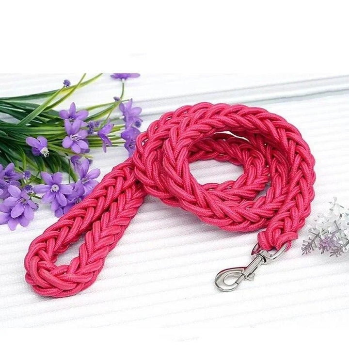 Nylon Dog Harness Leash - themiraclebrands.com