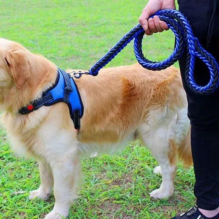 Nylon Dog Harness Leash - themiraclebrands.com