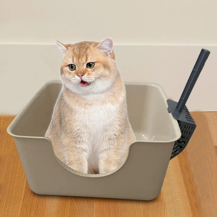 Open Top Anti-Splashing Pet Litter Tray Box - themiraclebrands.com