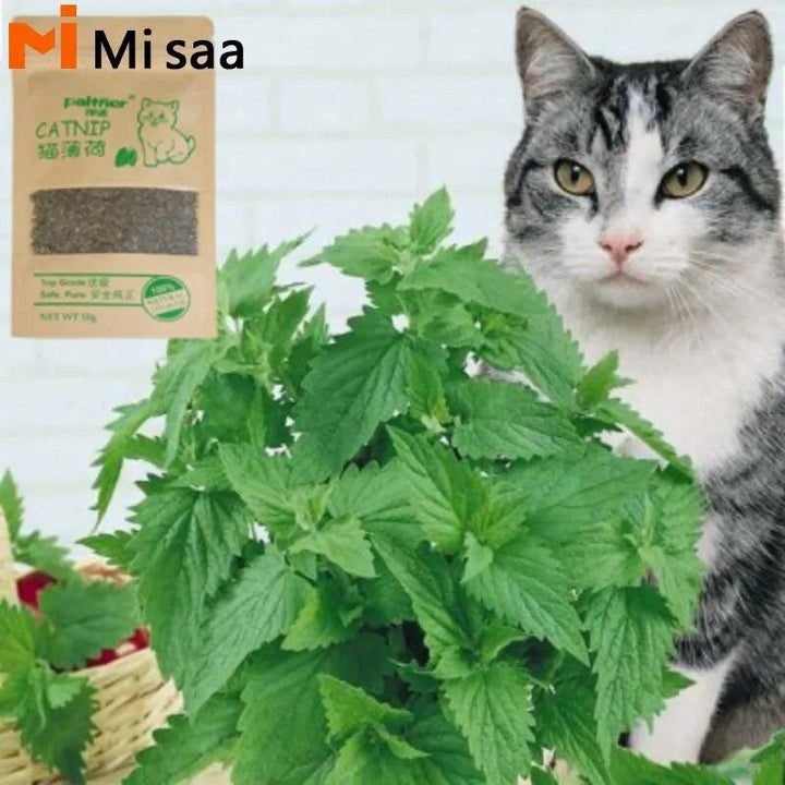 Organic Natural Catnip Health Boost Toy - themiraclebrands.com