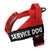 Personalized Adjustable Dog Harness Vest - themiraclebrands.com